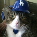 <b>"Don't Bother Me. I'm Watching the LA Dodgers Game."