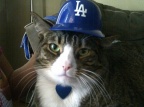 "Don't Bother Me. I'm Watching the LA Dodgers Game."