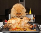 "All Mine!!"