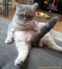 "Oh Baby, you Make Me Hot!"