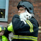 Sometimes just being there is enough!