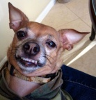 "I Brush Every Day!"