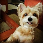 My Name is Laila. What's Yours?"