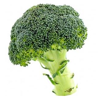 broccoli
