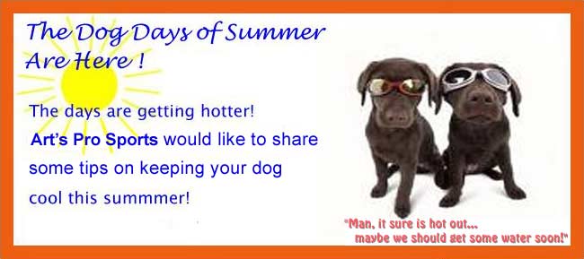 Dog Days