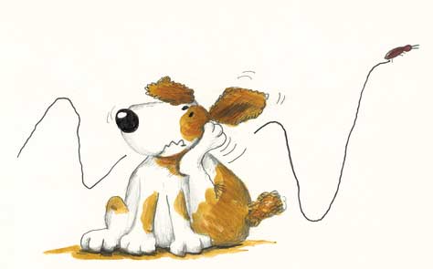 Dog Scratching