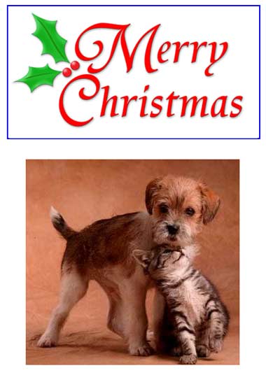 Merry Christmas