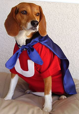 Underdog example